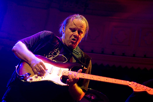 Walter Trout